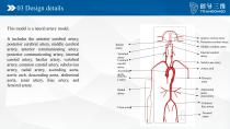 Neuro vascular A-5