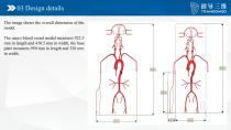 Neuro vascular A-6