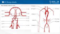 Neuro vascular A-7