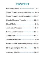Product List-3D medical models-2