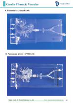 Product List-3D medical models-32