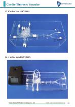 Product List-3D medical models-34