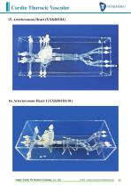 Product List-3D medical models-35