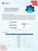 Human Lung Cancer RET Gene Fusion Detection Kit - 1