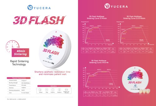3D-FLASH-Promotional-Brochure