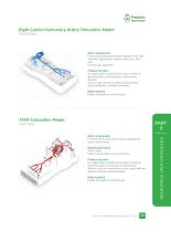 Right Cardio-Pulmonary Artery Simulation Model/TAVR Simulation Model