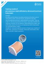 Training model of percutaneous nephrolithotomy ultrasound puncture PLMNCS001