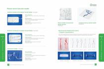 vascular simulation model catalog-2