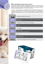 Katsan Sutures Veterinary Catalogue-17