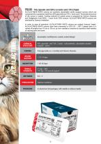 Katsan Sutures Veterinary Catalogue-23
