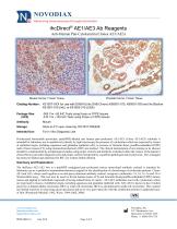 ihcDirect® AE1/AE3 Ab Reagents-1
