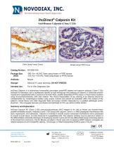 ihcDirect® Calponin Kit-1