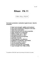 Rilsan PA 11-1