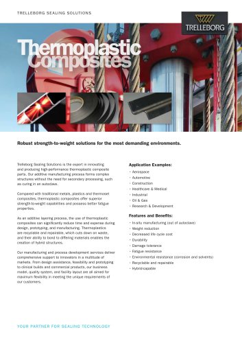 Advanced Composites &ndash; Thermoplastic
