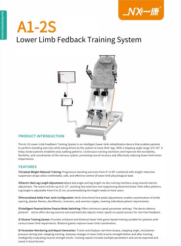 A1-2S Lower Limb Feedback Training System