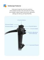 AEG200 Veterinary endoscopy system-9