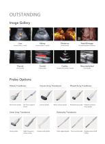 DW-P8 Diagnostic Ultrasound System-6