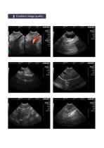 L30i Pet Ultrasound Machine-4