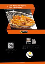 Gas deep fat fryers and rotisseries-1