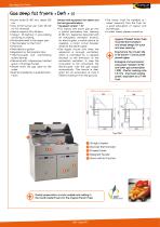 Gas deep fat fryers and rotisseries-2