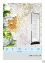 Snaigė professional products-5