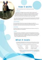 CET Equine Spa brochure-4