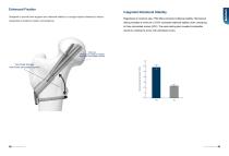 Femoral Neck System-3