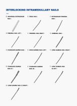 Interlocking Intramedullary Nails Product List-1