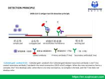 xuqinxuan Rapid test kit XQX004  XQX005 XQX006-14