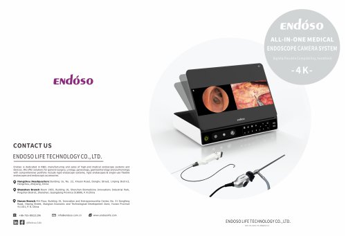 Endoscopy video processor