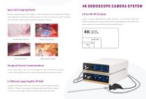 Endoso Endoscopy video processor U400 Series-2