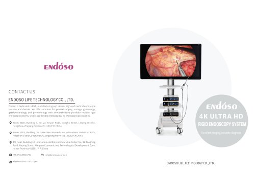 Endoso Endoscopy video processor U500 Series