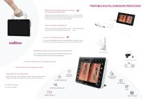 Endoso Portable digital endoscope image processing system P1 P2 - 2