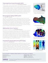 Simpleware Software for EM Simulation and Neuromodulation - 2