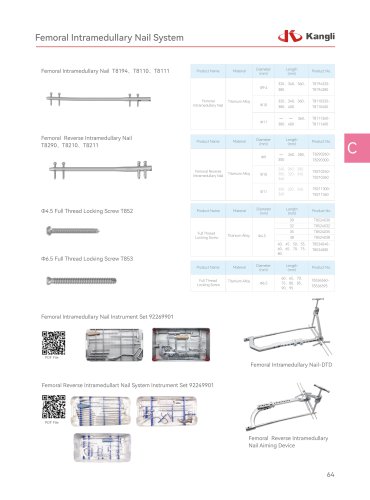 Femoral Intramedullary Nail System