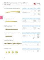 Intramedullary Nail System 2025-13