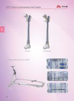 Intramedullary Nail System 2025-19