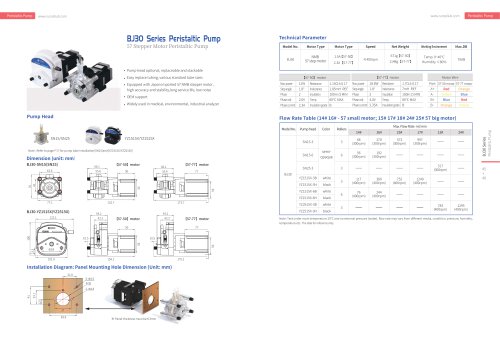 BJ30 Series Peristaltic Pump