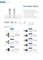 K30 Gastight Syringe-1