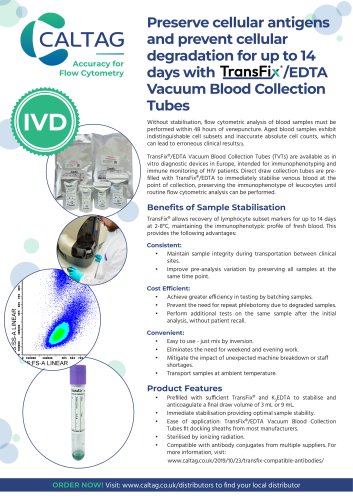 TVT Flyer