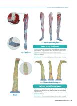 Circulatory System Models CS 10,CS 09,CS 13,CS 12,CS 03,CS 04,CS 08,CS 14,CS 01,CS 06-7
