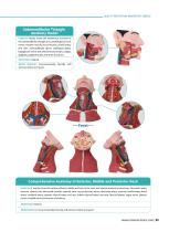 Topical Anatomy Models  TA 06,TA 07,TA 01-4