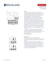 Chemiluminescent FemtoMax™ Super Sensitive HRP Substrate-3