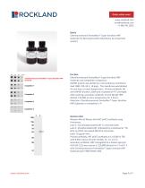 Chemiluminescent FemtoMax™ Super Sensitive HRP Substrate-4