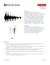 Chemiluminescent FemtoMax™ Super Sensitive HRP Substrate-5