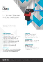 C13 IEC LOCK MOULDED LOCKING CONNECTOR-1