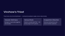 Deep Vein Thrombosis Prophylaxis System FP 4 SSP DIGITAL-3