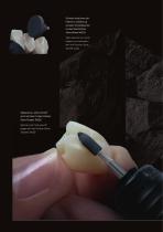 Panther Catalogue 2023 Dental lab-8