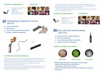 Animal Ear Mirror Brochure-2