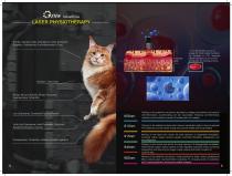 JZGGD001 Laser therapy for animals-7